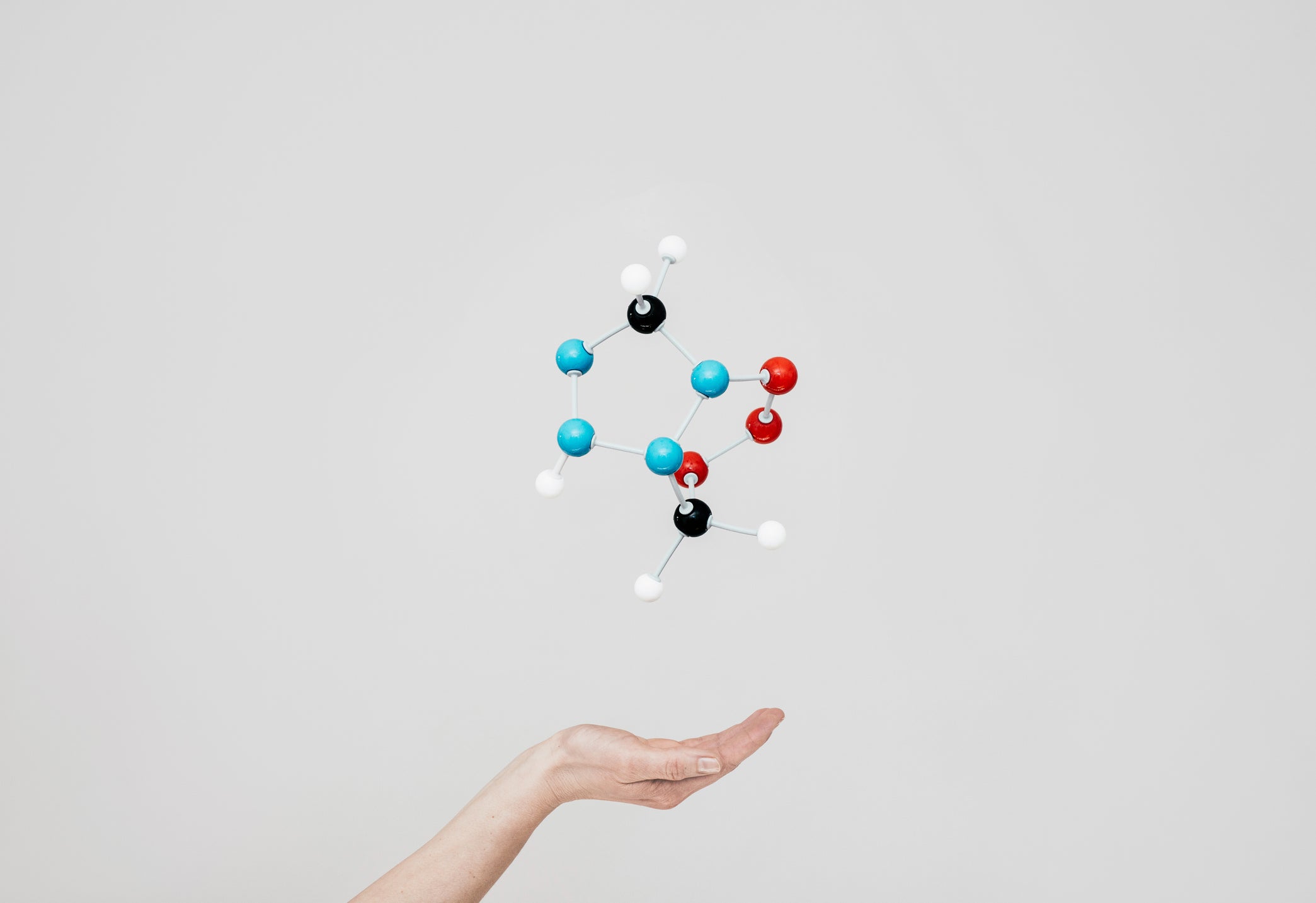 Biomoléculas